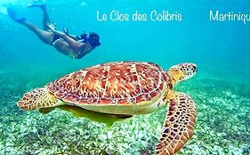 Lodge Colibris Piscine Privee Vue Panoramique Mer Et Montagne Pelee , 500 M Plage Dans Un Parc , Calme Assure Ideal Pour Decouvrir Le Nord Caraibes
