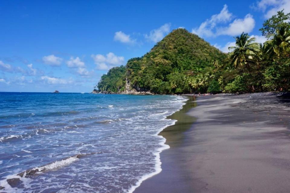 Lodge Colibris Vue Panoramique Mer Et Montagne Pelee , 500 M Plage Dans Un Parc , Calme Assure Ideal Pour Decouvrir Le Nord Caraibes Le Carbet Exterior foto