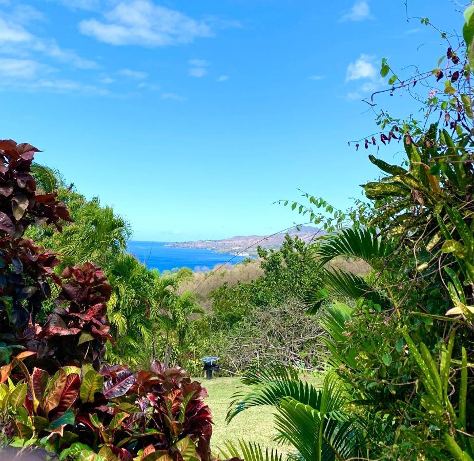 Lodge Colibris Vue Panoramique Mer Et Montagne Pelee , 500 M Plage Dans Un Parc , Calme Assure Ideal Pour Decouvrir Le Nord Caraibes Le Carbet Exterior foto